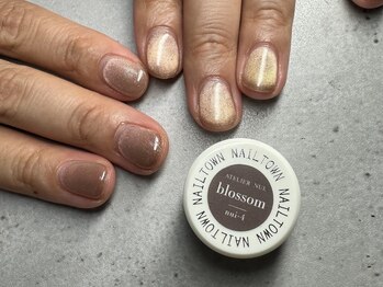 エードット(a.)/マグネットネイル