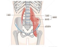 木村鍼灸整体院/腰痛のお悩みに