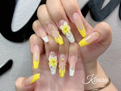 キララ(Kirara)の写真