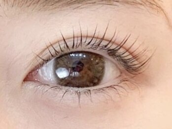 ラッシュ(LASH)/まつげパーマ/立ち上げ