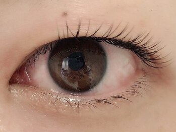 カラン 焼津店(CALIN)/フラットラッシュ100本