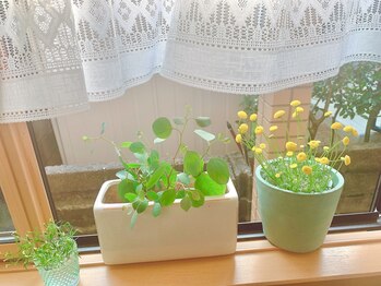 おうちサロン ニワノミ(NIWANOMI)/＊肩首の疲れに・