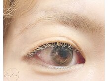 カーララッシュ(Cara Lash)/カラーラッシュ140本