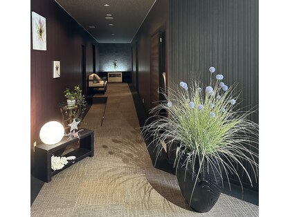 ミラー(Mirror)の写真