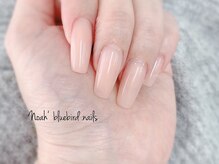 ノアブルーバードネイルズ(Noah' bluebird .nails)/アクリル（スカルプチュア）