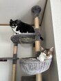 ティアラ 西岐阜店(TIARA) 兄弟猫飼ってます毎日の癒しです♪