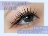 【当日予約限定18時最終受付】LED+フラットラッシュ120本 7700→¥6000