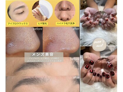 リリー(Lily)の写真