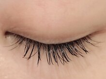 カラン 焼津店(CALIN)/フラットラッシュ100本