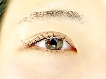 アストル/パリジェンヌラッシュリフト