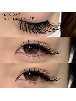 ヴィオラ(Viola)/フラットラッシュ160本