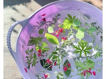 生ハーブたっぷりの贅沢フットバスで爽快リフレッシュ♪