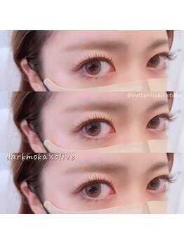 バタフライ 平塚店(Butterfly)/ロイッシュカラー100束