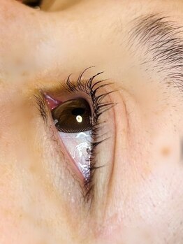 ラッシュリフトウェーブ(Lash Lift WAVE)の写真/「ママまだー？」と待ちぼうけさせる心配なしのハイスピード施術！短時間でも根本からしっかり立ち上がる♪