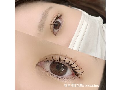ココピノ(cocopino)の写真