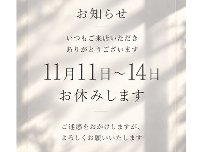 メリー(merry)の写真