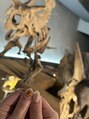 ルポ(repos)&nbsp;旅行が大好きです。化石ネイルと恐竜博物館で♪