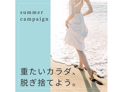 めぐりねこの写真
