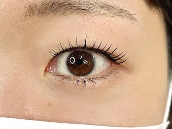 ラヴィシル 恵比寿(Ravicils)/まつげパーマ ラッシュリフト