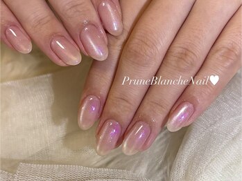 プリュネブランシュネイル(Prune Blanche Nail)/オーロラマグネット