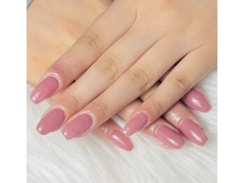 コスモス(cosmos)/ピンクワンカラー