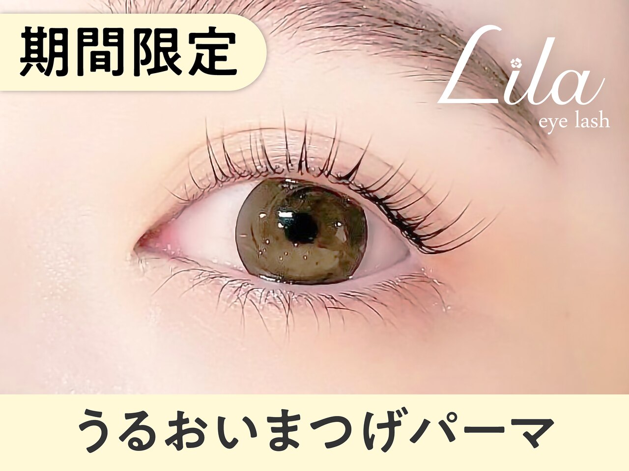 ＼口コミ投稿で限定価格／潤いまつげパーマ【\2600】[通町筋/下通/西辛島町]