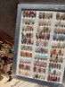 【ハンド】定額10本アート￥6980円（27種類）