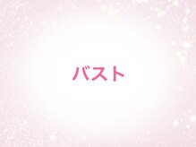 サロンドキャリー/ふんわりバストに