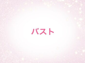 サロンドキャリー/ふんわりバストに