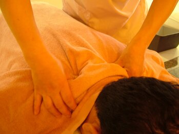 リフレッシュランド/肩のほぐし