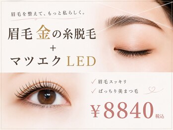 アイラッシュ リップル(Eyelash ripplu)の写真/8月キャンペーン!セット施術で叶える、理想の目元・時短メイク★