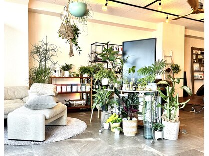 ティエル(Tiele)の写真