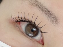 ペタル(petale)/フラットラッシュ140本