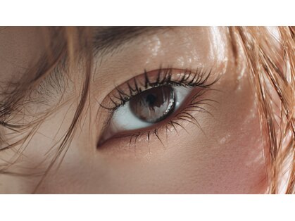 ブランチ(branch)の写真