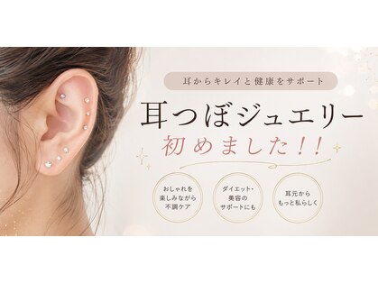 モルト(MOLT)の写真