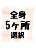 【6回以上脱毛でご来店の方限定】11部位の中から　《5ヵ所選択】1回　￥7300