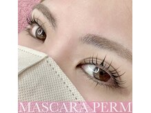 プリモアイラッシュ(Primo Eyelash)/マスカラパーマ