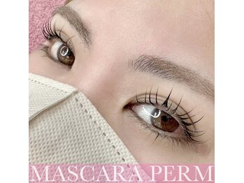 プリモアイラッシュ(Primo Eyelash)/マスカラパーマ