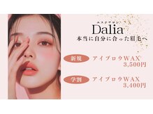 ダリア(Dahlia)