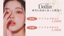 ダリア(Dahlia)