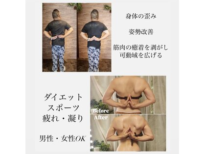 ラナ(Lana)の写真