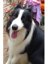 シャロームカイロプラクティックおおば NOAH