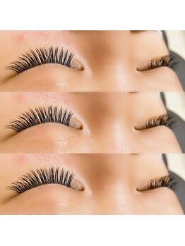 リノ(Lino)/フラット120本