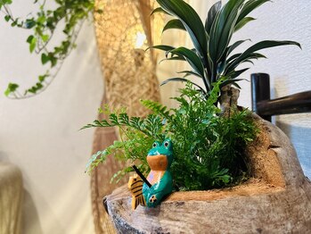 ビオエル(BIOERU)/緑溢れる店内