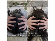 ふわりん