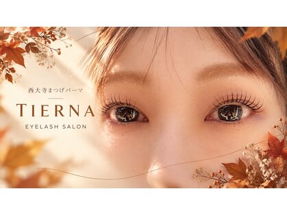 ティエルナ エーアイ 西大寺(TIERNA ai)の写真