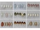 【ネイル】シンプル定額16