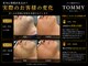 トミー(TOMMY)の写真