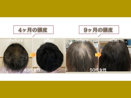 マリン(Marine)の写真