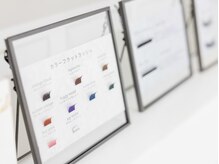 ネリネ(Nerine)/カラーフラットラッシュ